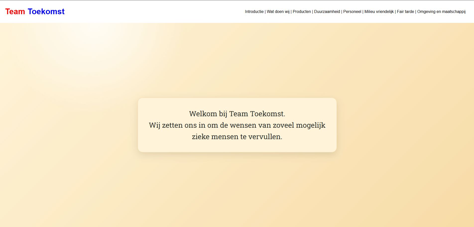 Project Team Toekomst