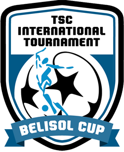TSC IT logo
